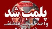پلمب واحد قصابی متخلف